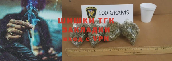 твердый Алексин