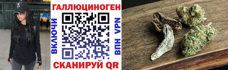 Галлюциногенные грибы Psilocybe  Ревда 