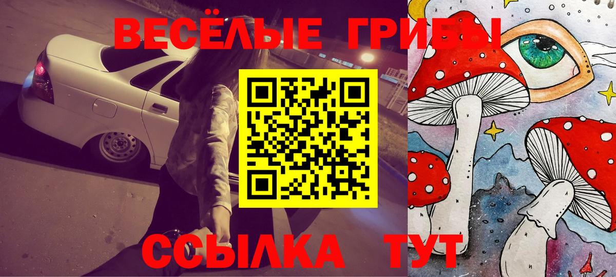 Псилоцибиновые грибы мицелий Ревда