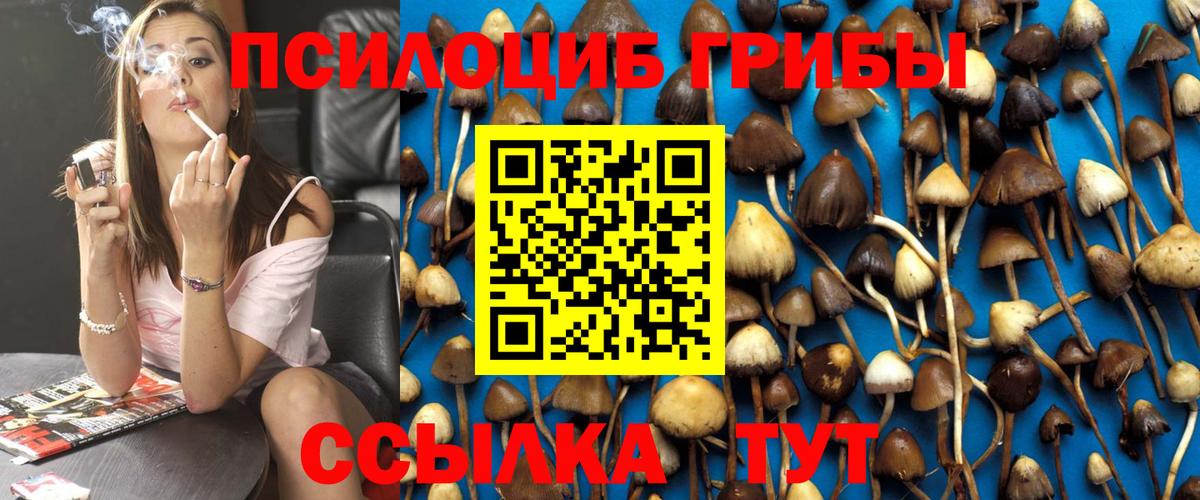 Псилоцибиновые грибы мухоморы  Вход с VPN  Галлюциногенные грибы мицелий  Ревда 