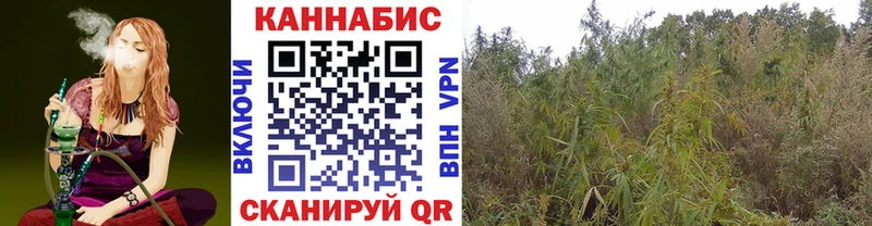 Бошки марихуана марихуана  omg маркетплейс  Ревда 